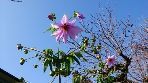 寒気が続く毎日